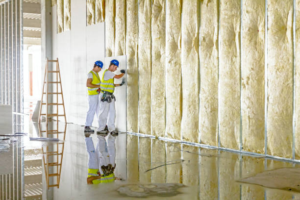 Types of Insulation We Offer in Utica, IN